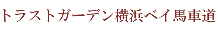 トラストガーデン横浜ベイ馬車道
