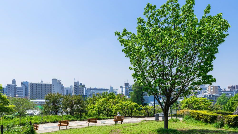 西郷山公園