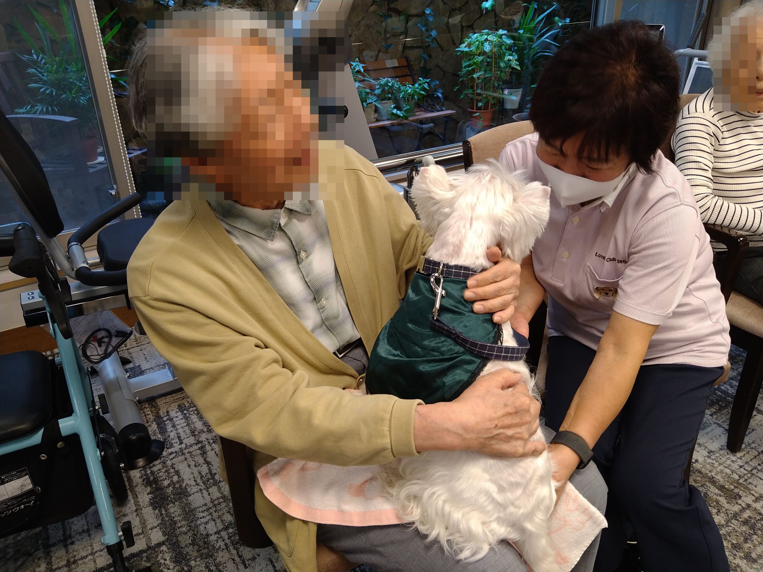 【ドッグセラピー】