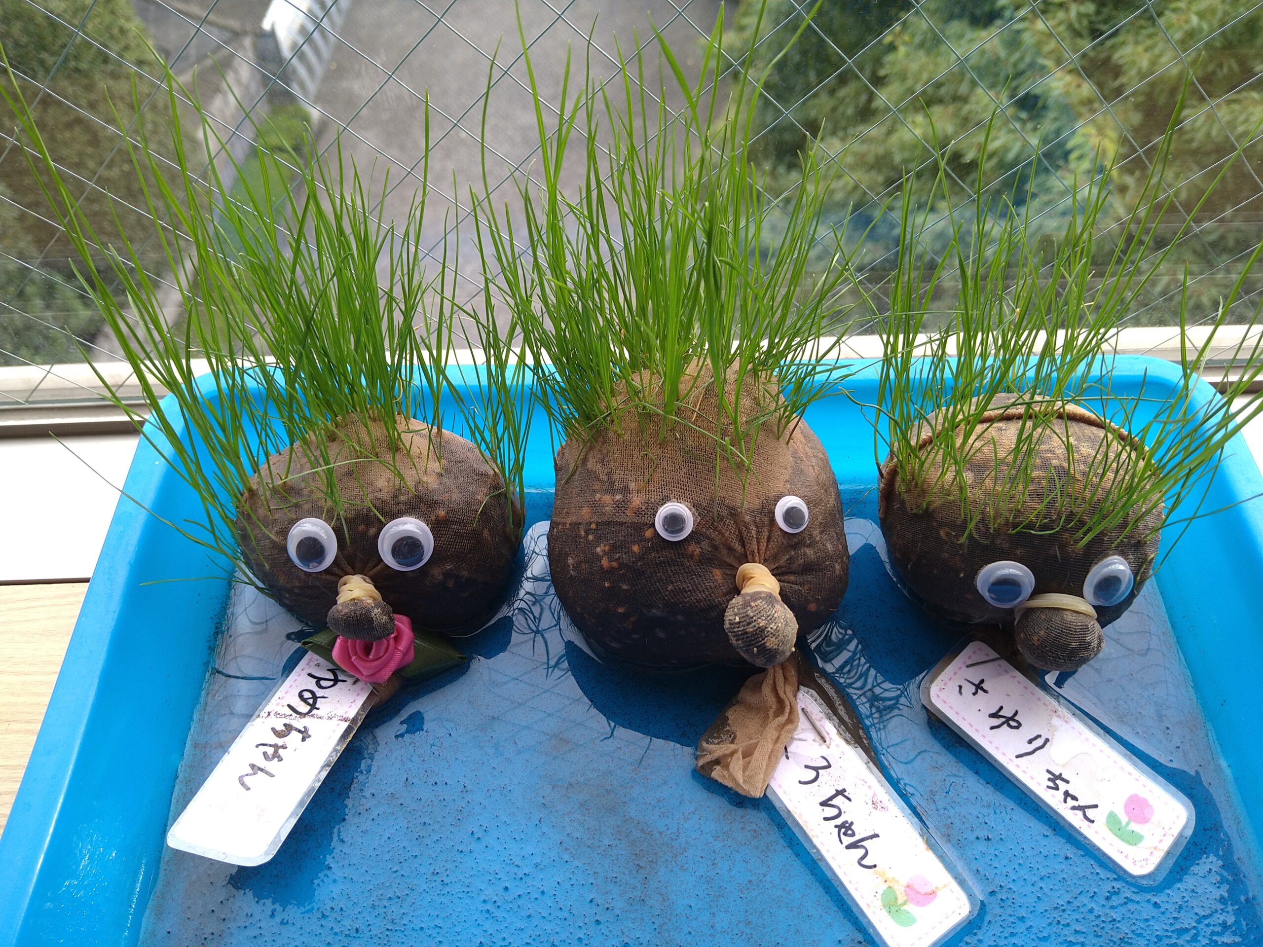 【南平台カフェ・芝人形のその後】