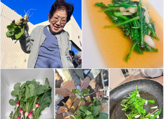 園芸療法　野菜収穫と調理