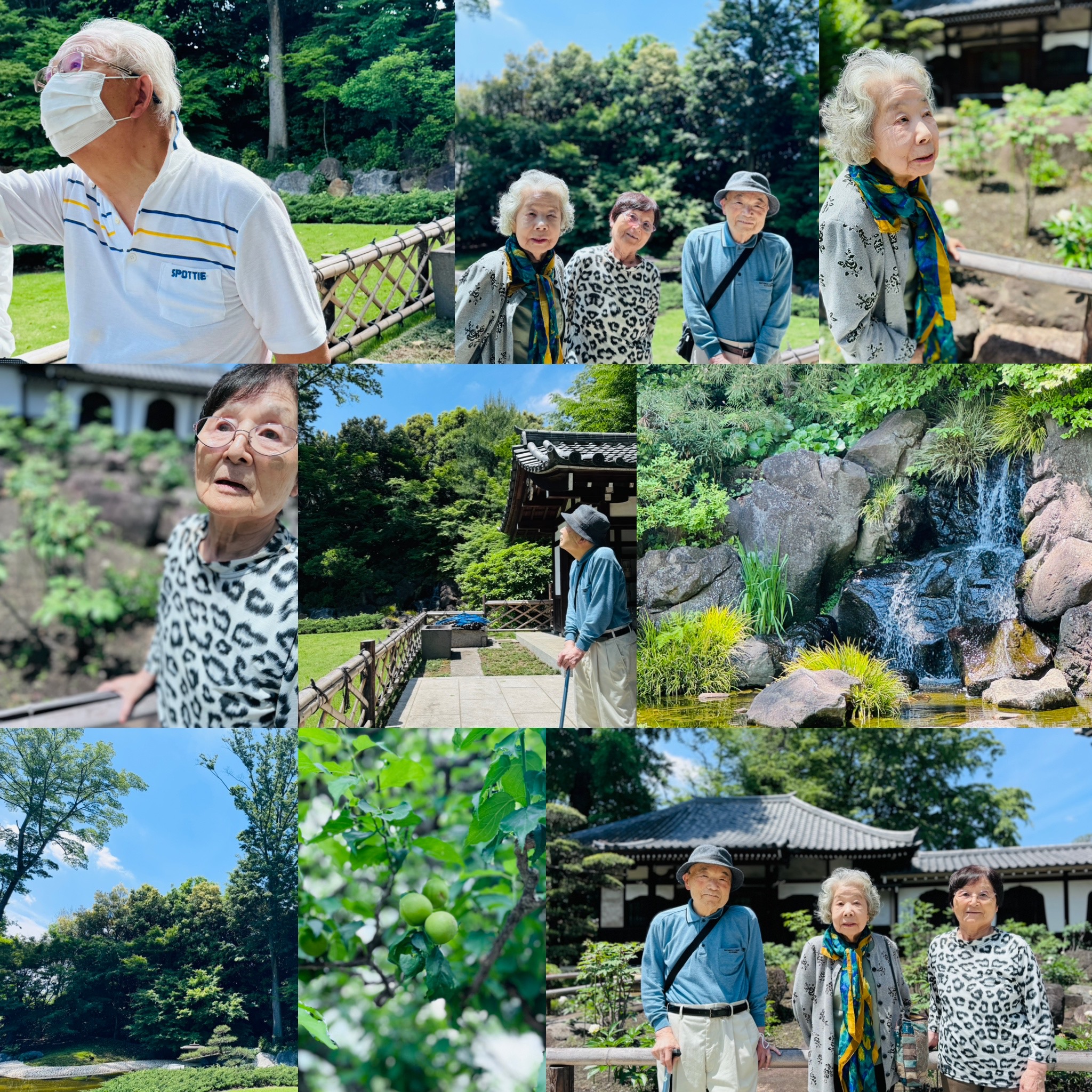 初夏の外出レクリエーション1