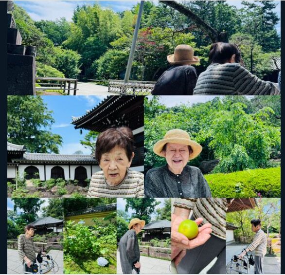 初夏の外出レクリエーション2