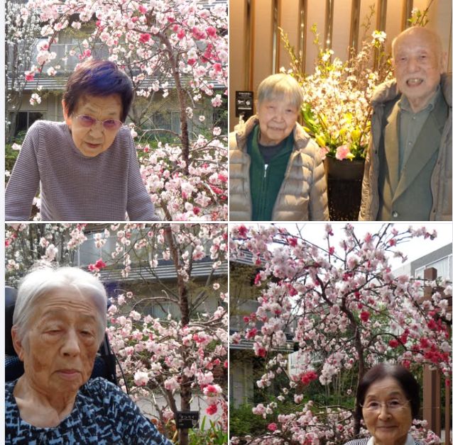 中庭にて