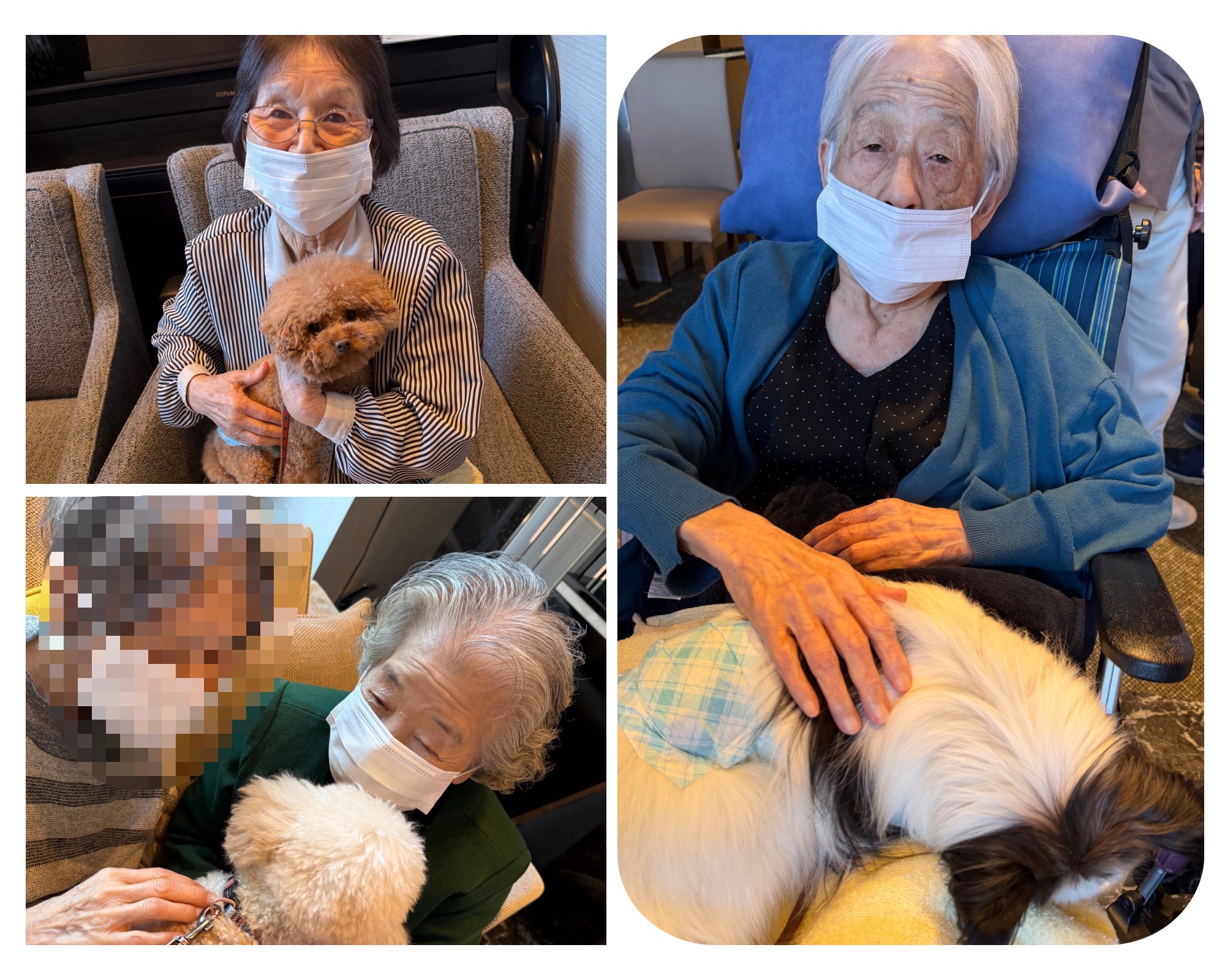 ドッグセラピー