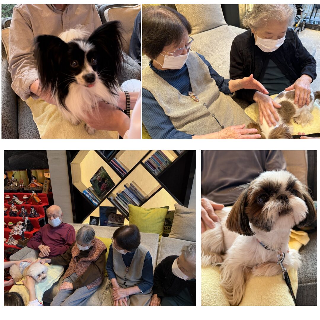 ドッグセラピー