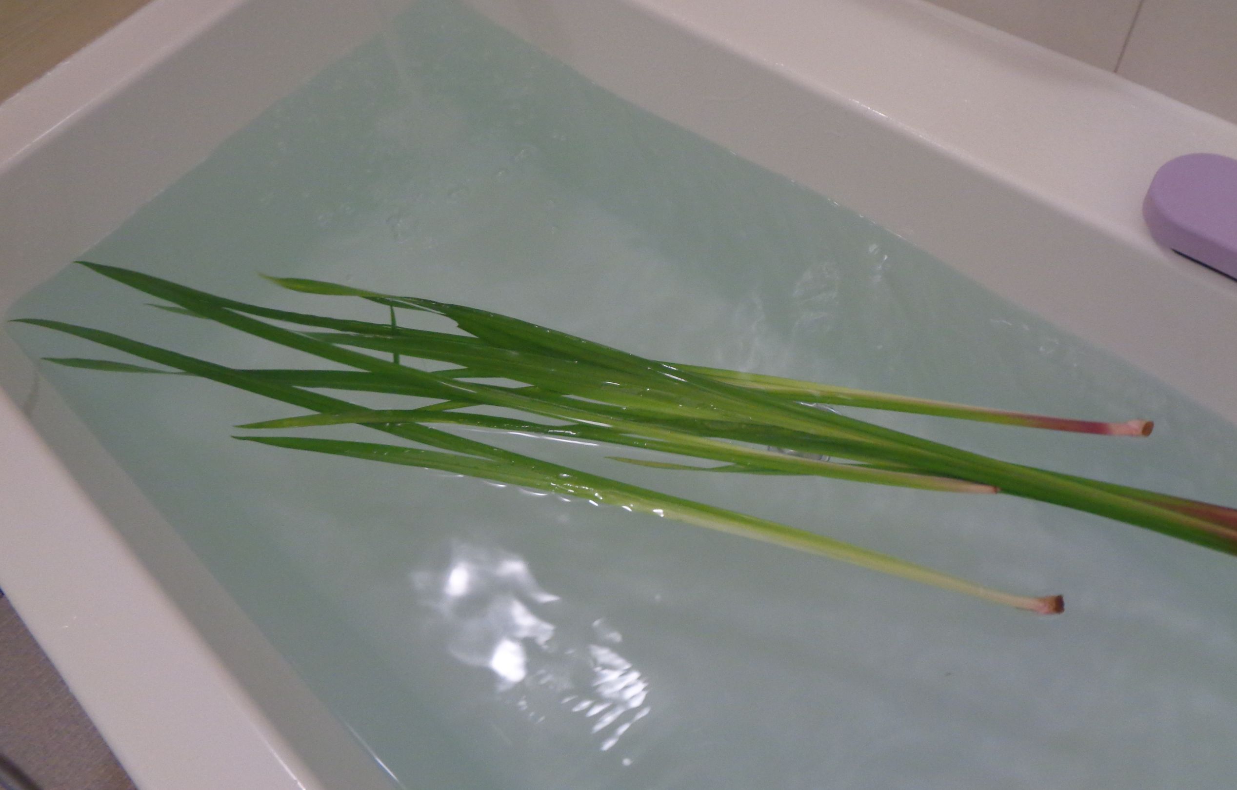 菖蒲湯