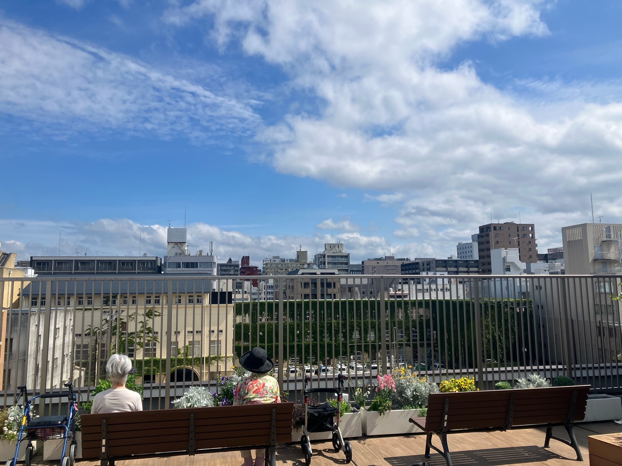 【屋上での毎朝の日光浴】