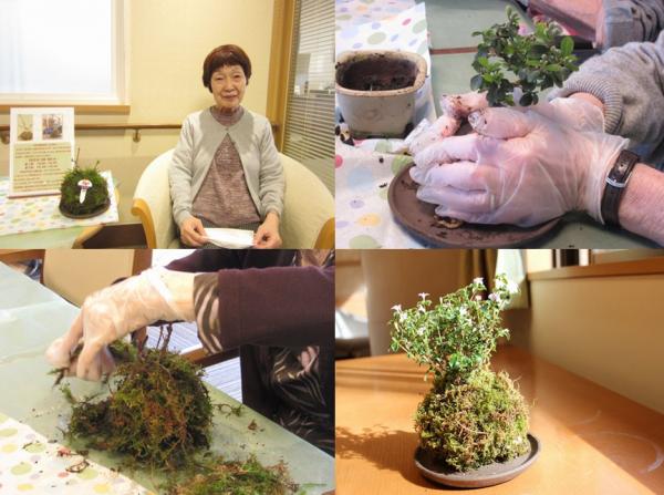 大宮前園芸部 苔玉作り