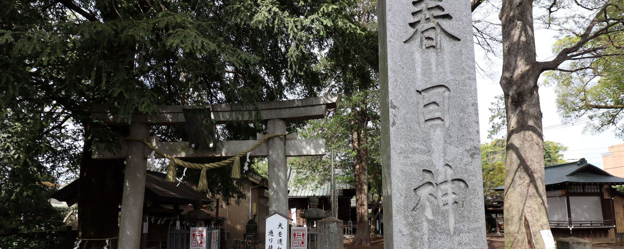 数多くの文人墨客に愛され続けた武蔵野の面影が残る住宅街・杉並宮前。