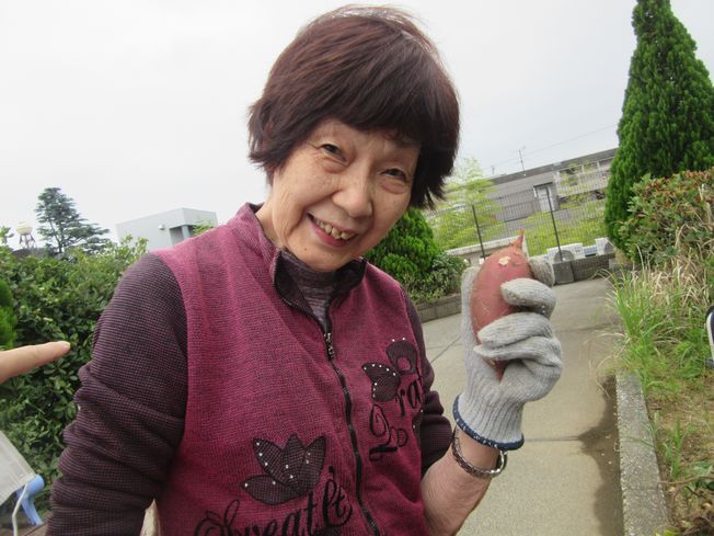 【屋上のお芋掘り】