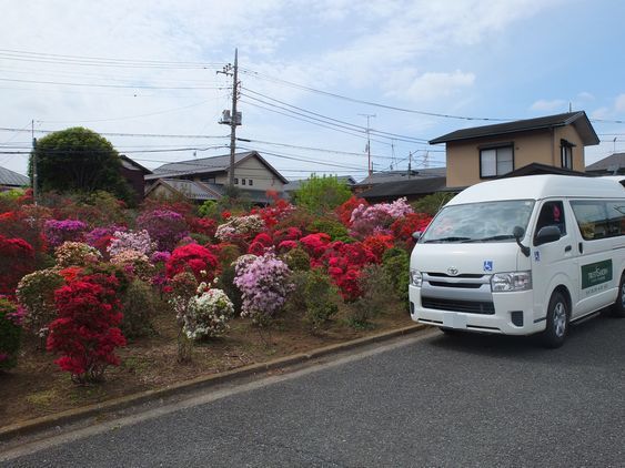 【つつじドライブ】
