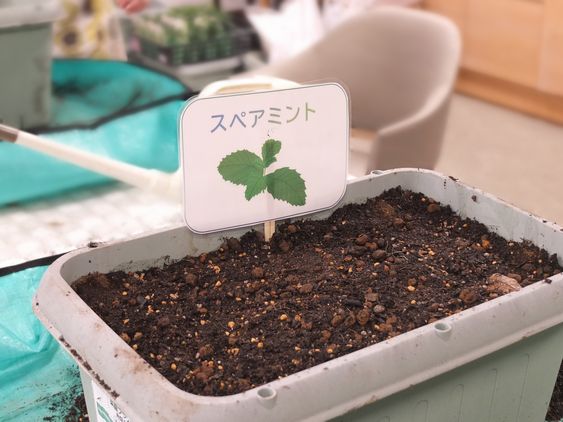 【大宮前園芸部】