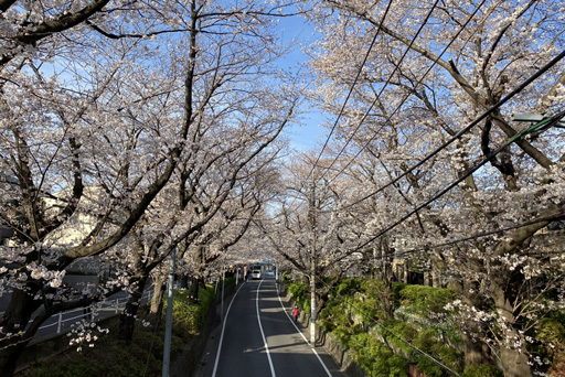 閑静な住宅街、大田区東嶺町