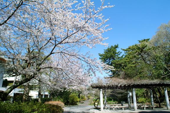 宝来公園