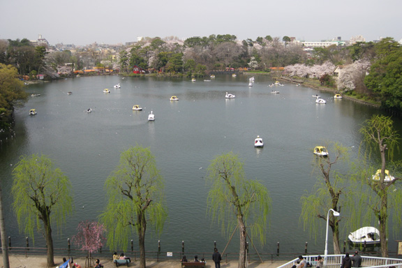 洗足池公園