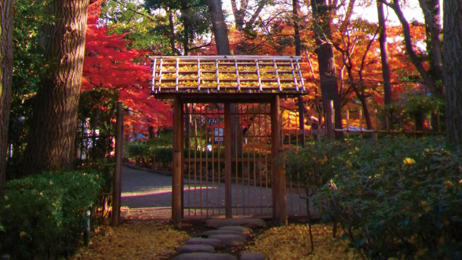 杉並区立大田黒公園