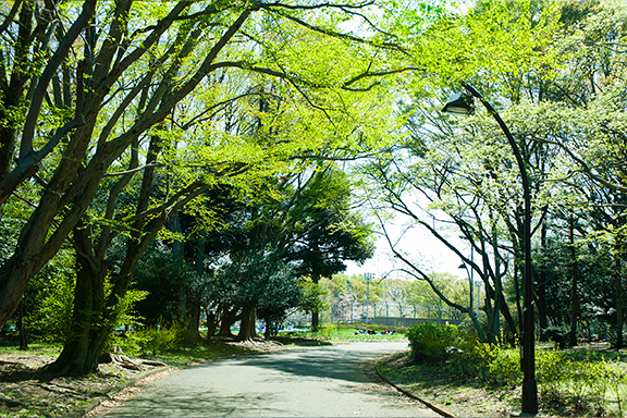 駒沢公園