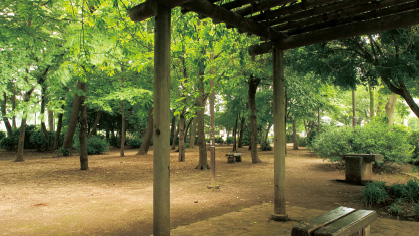 杉並区立宮前公園