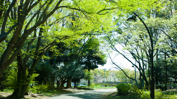 駒沢公園