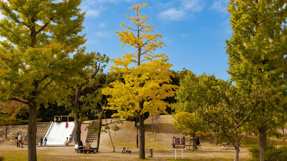 多摩川二子橋公園