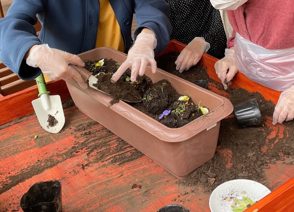 園芸療法の苗植え付け