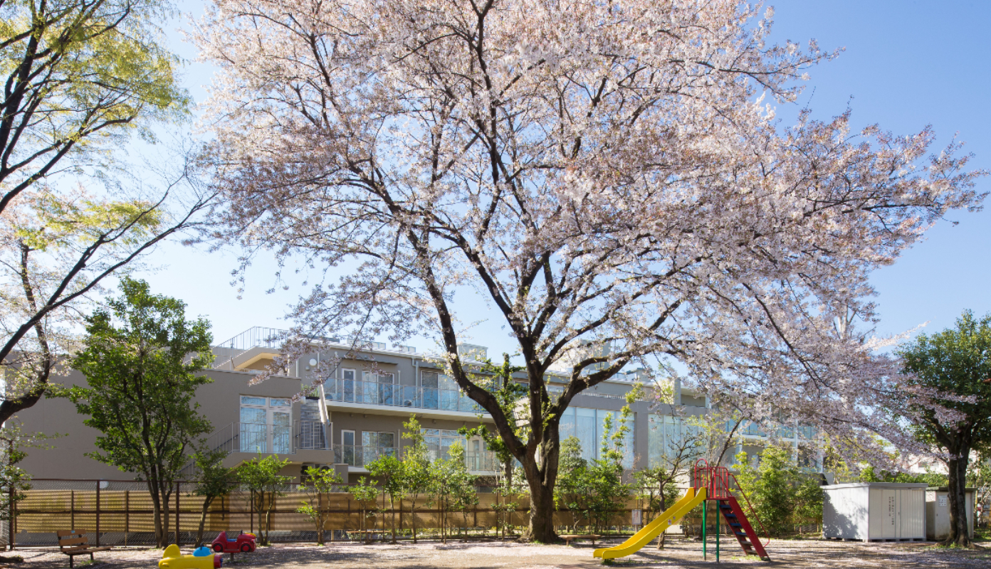 桜の大木がある施設の庭園・外構。遊具やベンチが配置された屋外スペース。