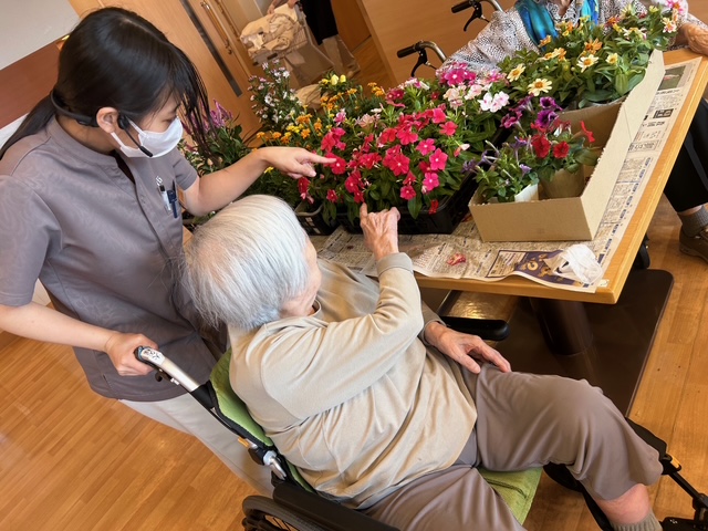 園芸療法