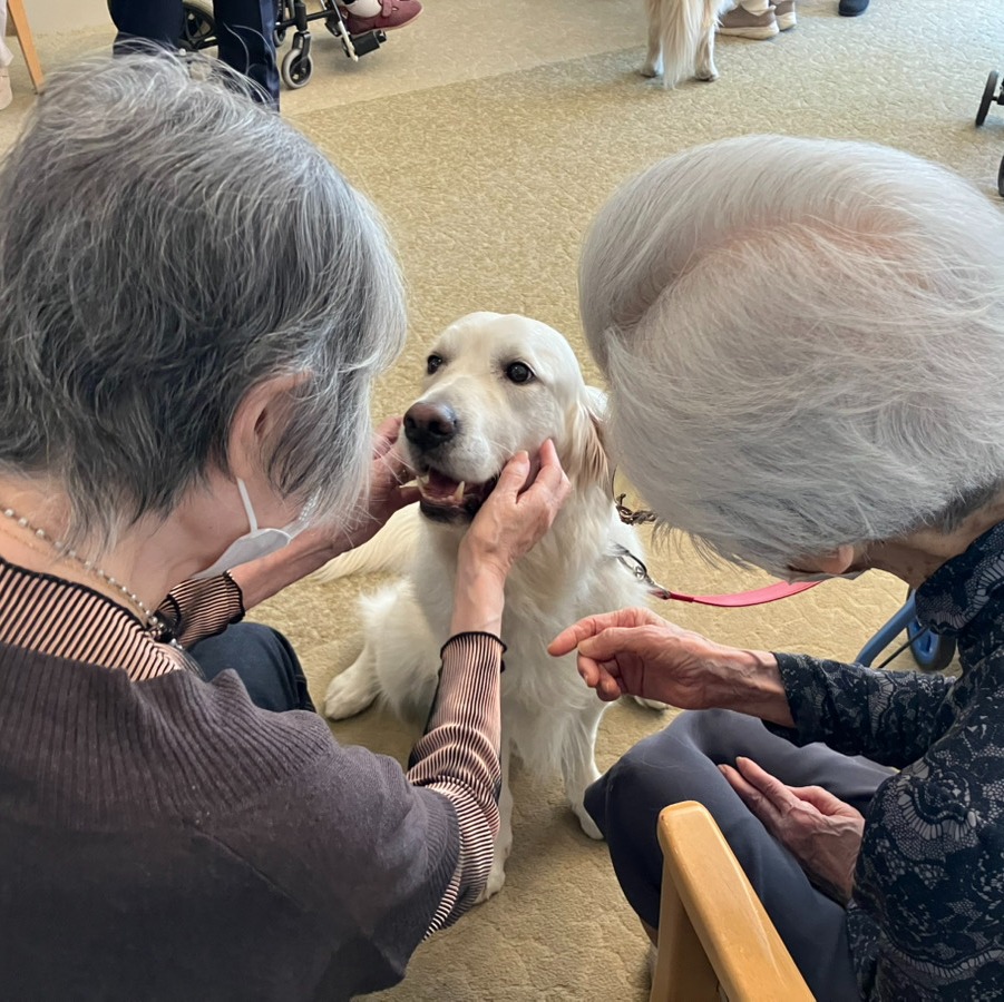 ドックセラピー