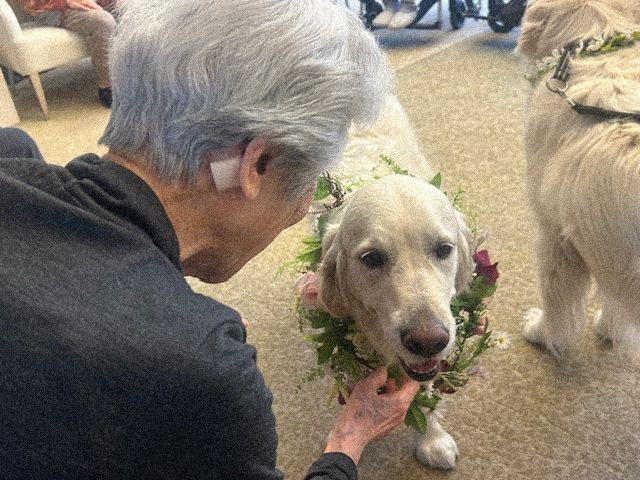 ドッグセラピー