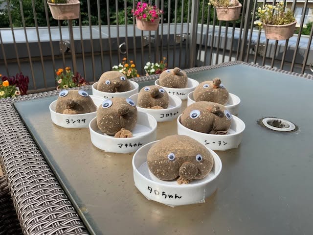 園芸療法