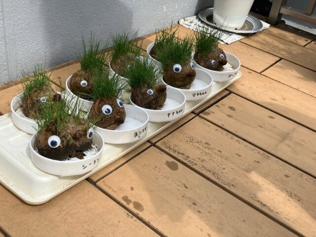 園芸療法