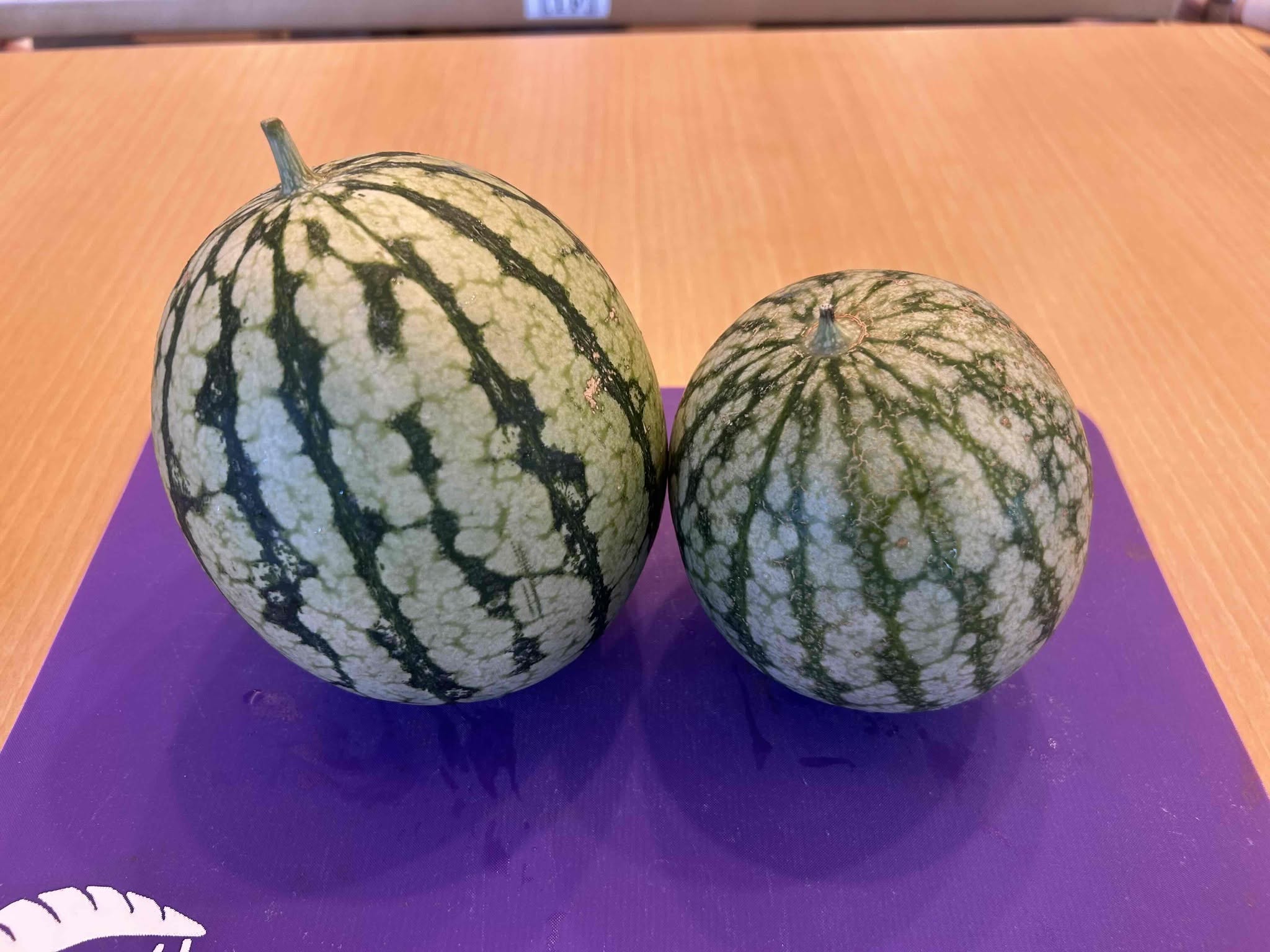 園芸部