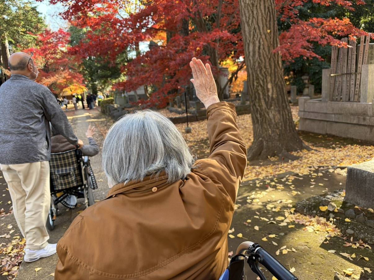 豪徳寺 紅葉ツアー