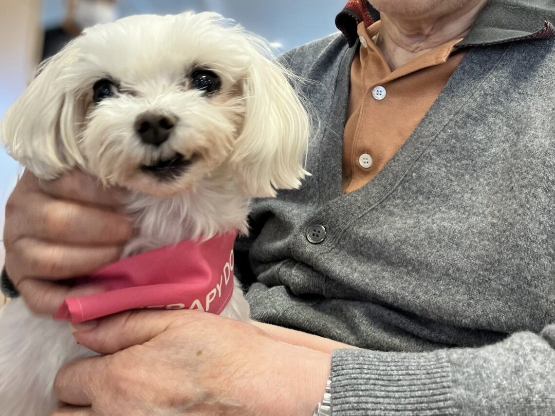 ドッグセラピー